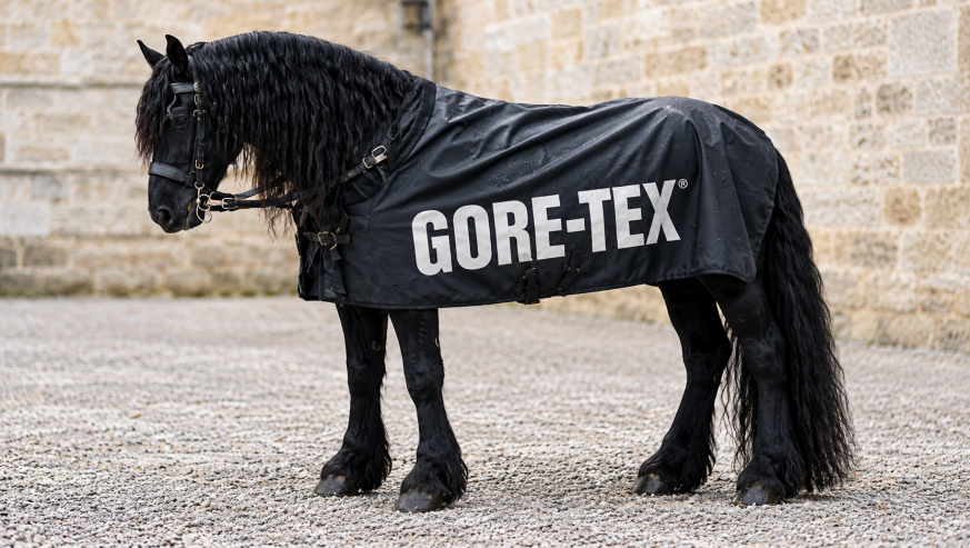 Навіть коні носять Gore-Tex
