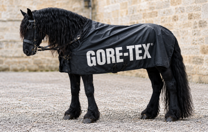 Навіть коні носять Gore-Tex