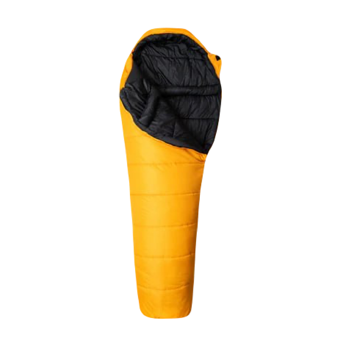 Спальный мешок Snugpak Sleeper Expedition WGTE (комф.-12°C/к. -17°C). Желтый