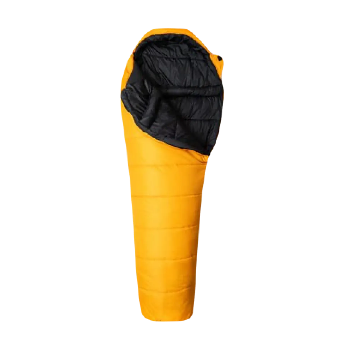 Спальний мішок Snugpak Sleeper Expedition WGTE (від -12°C до -17°C). Жовтий