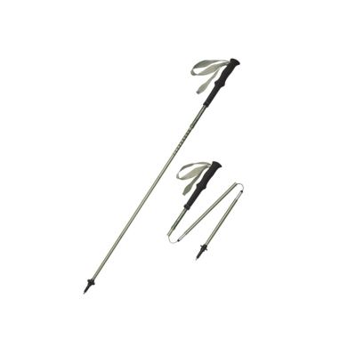 Трекінгова палиця Naturehike CNK2450DS016, 110 см, зелена