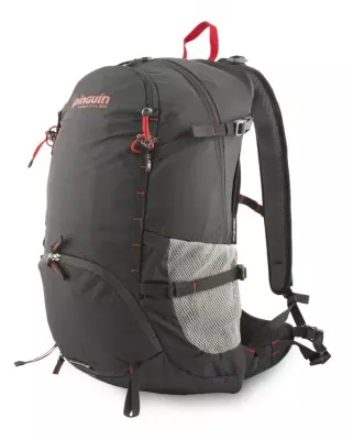 Рюкзак Pinguin Air 33, р. 33 – Чёрный