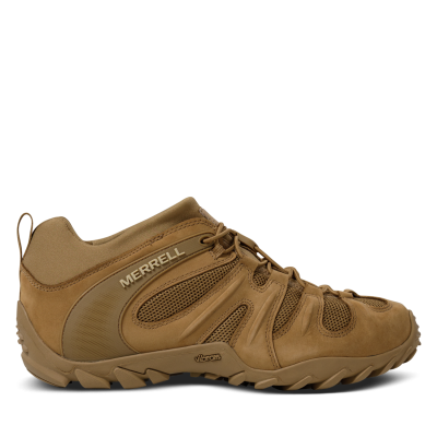 Кросівки тактичні Merrell Cham 8 Stretch Tactical. Койот