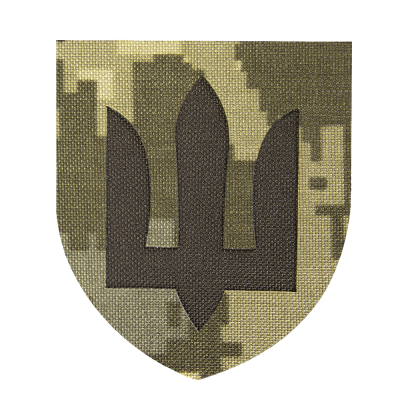 Шеврон Camotec ЗСУ Сухопутні війська (7*8) Піксель (ММ-14)