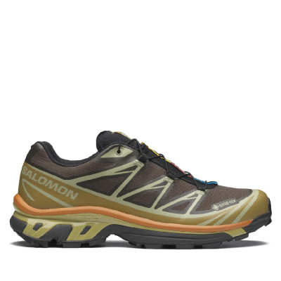Кросівки Salomon Xt-6 Gore-Tex® | Delicioso / Tea