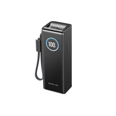 Павербанк EcoFlow RAPID Power Bank з кабелями 25000mAh, чорний