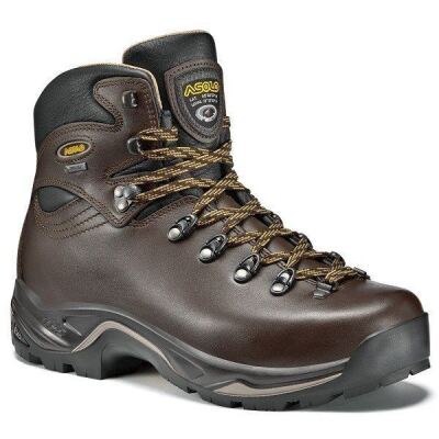 Ботинки мужские Asolo TPS 520 GV, Chestnut