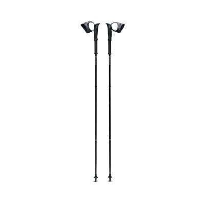 Трекінгові палиці Black Diamond Distance Carbon FKT, Black