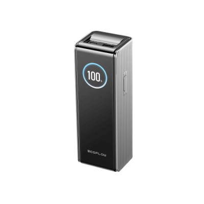 Павербанк EcoFlow RAPID Power Bank 25000mAh, сріблястий
