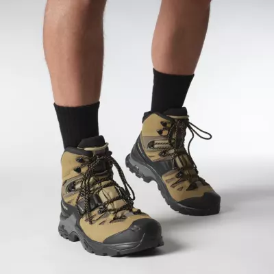 Ботинки тактические SALOMON Quest 4 GTX. Черный-Койот