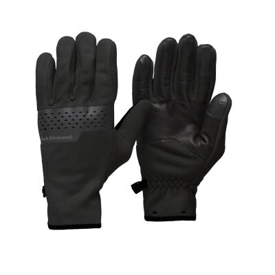 Рукавички чоловічі Black Diamond Alpine Fleece Gloves, Black