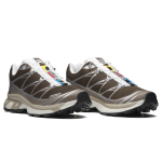 Кросівки трекінгові Salomon Xt-6 | Earth Brown / Walnut 5
