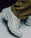 Кроссовки Salomon XT-6 Advanced | Ghost Gray/Gray Flannel 2