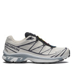 Кросівки Salomon Xt-6 Gore-Tex® | Silver Cloud / Black