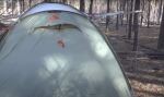 Палатка Pinguin Base Camp, 4-местная, Petrol 7 Палатка Pinguin Base Camp, 4-местная, Petrol 7