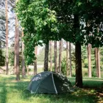 Палатка Tramp Cloud 3 Si TRT-094-green, зеленый 5 Палатка Tramp Cloud 3 Si TRT-094-green, зеленый 5