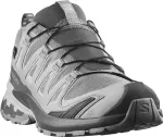 Кросівки Salomon XA PRO 3D V9 GTX, Alloy Castlerock Lunar Rock 2 Кросівки Salomon XA PRO 3D V9 GTX, Alloy Castlerock Lunar Rock 2
