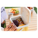 Туристичний холодильник Naturehike CNK2450CF012 5 л бежевий 5 Туристичний холодильник Naturehike CNK2450CF012 5 л бежевий 5