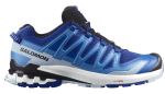 Кроссовки Salomon XA PRO 3D V9 — Синий