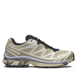 Кросівки Salomon Xt-6 Gore-Tex® | Eucalyptus / Silver Sage