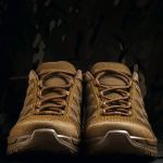 Buty taktyczne Lowa Innox Pro Lo TF. Coyote 6 Buty taktyczne Lowa Innox Pro Lo TF. Coyote 6