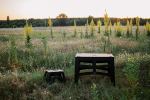 Стул Tribe Camp Chair Low, Чёрный 15