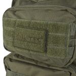 Рюкзак тактичний ASSAULT "L" Olive 14 Рюкзак тактичний ASSAULT "L" Olive 14