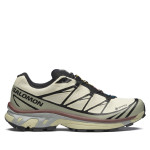 Кросівки Salomon Xt-6 Gore-Tex® | Aspargus Green / Tea