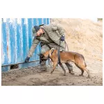 Куртка зимова 5.11 Tactical "Bastion Jacket" RANGER GREEN 24 Куртка зимова 5.11 Tactical "Bastion Jacket" RANGER GREEN 24