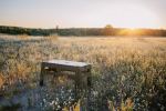 Стіл Tribe Camp Table Low пластиковий, Оливковий 13 Стіл Tribe Camp Table Low пластиковий, Оливковий 13