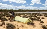Тент Sea to Summit Minimalist Tarp – Таррагон 6 Тент Sea to Summit Minimalist Tarp – Таррагон 6