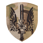 Шеврон Camotec СБУ (7*9) MC