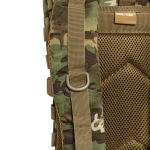 Рюкзак тактичний ASSAULT "L" ARID-Woodland 14 Рюкзак тактичний ASSAULT "L" ARID-Woodland 14