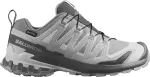 Кросівки Salomon XA PRO 3D V9 GTX, Alloy Castlerock Lunar Rock