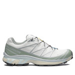 Кросівки Salomon Xt-6 Gore-Tex® | White / Green Milieu