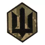 Шеврон ЗСУ СБС Піксель (ММ-14)