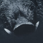 Футболка с рисунком "Born to Hunt Forced to Work" Graphite 5 Футболка с рисунком "Born to Hunt Forced to Work" Graphite 5