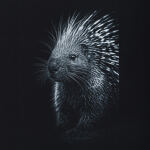 Футболка с рисунком "Porcupine" Combat Black 3