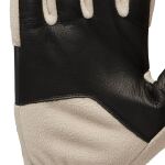Рукавички чоловічі Black Diamond Alpine Fleece Gloves, Moonstone 4 Рукавички чоловічі Black Diamond Alpine Fleece Gloves, Moonstone 4