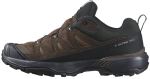 Кроссовки трейловые Salomon X Ultra 360 LTR Gore-Tex — Коричневый 3 Кроссовки трейловые Salomon X Ultra 360 LTR Gore-Tex — Коричневый 3