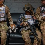 Подарункова/сувенірна плитоноска Ded (копія покращеної PRO). Колір сумка діда 5 Подарункова/сувенірна плитоноска Ded (копія покращеної PRO). Колір сумка діда 5