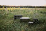 Стул Tribe Camp Chair Low, Оливковый 16