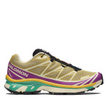 Кросівки трекінгові Salomon Xt-6 | Antique Gold / Transparent Yellow