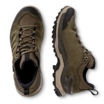Кросівки трекінгові Lowa Innovo Gore-Tex® LO. Olive/Amber Green 2