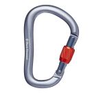 Карабін Black Diamond RockLock Screwgate, р., Grey
