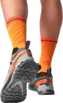 Кросівки Salomon XA PRO 3D V9 GTX, Turbulence/Black/Burnt Ochre 8