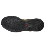 Кросівки Salomon Xt-6 Gore-Tex® | Delicioso / Tea 4