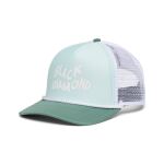 Кепка Black Diamond Flat Bill Trucker Hat, Foam Green/Laurel Green/White Black Diamond