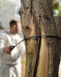 Пилка ланцюгова Base Camp Paracord Saw 12