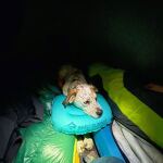 Подушка надувна Sea to Summit Aeros Ultralight Pillow, Large, 14х44х32 см, Aqua 14